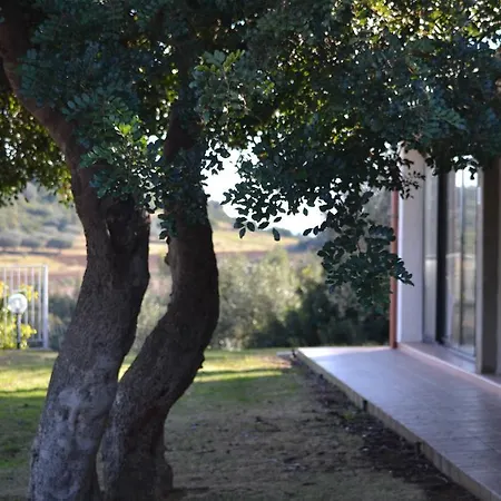 Farm stay Agriturismo Gli Ulivi *